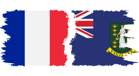 British Virgin Islands and France grunge flags connection, vectorのイラスト素材