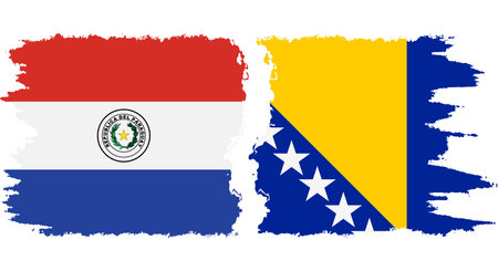 Bosnia and Herzegovina and Paraguay grunge flags connection, vectorのイラスト素材
