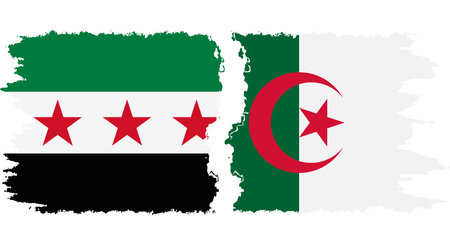 Algeria and Syrian Revolution grunge flags connection, vectorのイラスト素材