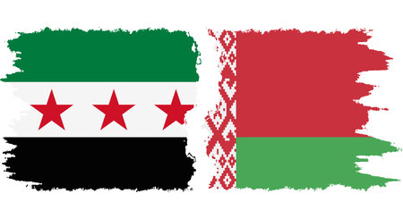 Belarusian and Syrian Revolution grunge flags connection, vectorのイラスト素材