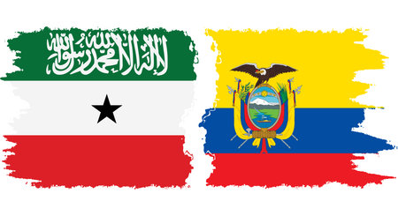 Ecuador and Somaliland grunge flags connection, vectorのイラスト素材