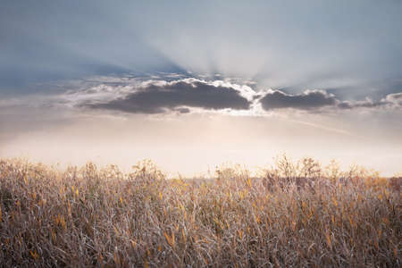 Sun behind a cloud. Sun raysの写真素材