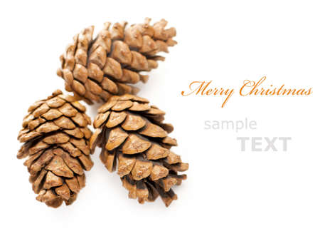 three Christmas cones isolated on white background with copy space for text の写真素材