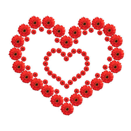 Heart from red gerbera flowers isolated on white background. Valentineの写真素材