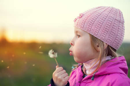 little girl in cap with dandelion at sunset in autumnの写真素材