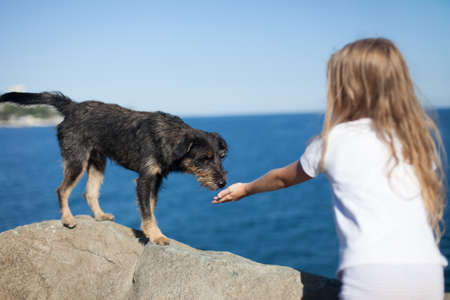  little girl playing with stray dog on sea backgroundの写真素材