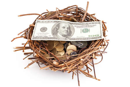 Dollar bills and coins in a birds nest isolated on white backgroundの写真素材