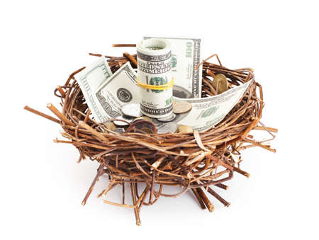 Dollar bills and coins in a birds nest isolated on white backgroundの写真素材