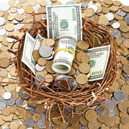 Nest egg overflowing with moneyの写真素材