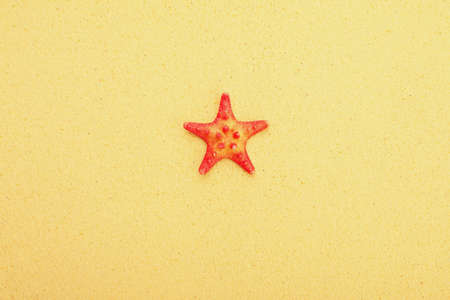 Red starfish on sand backgroundの写真素材