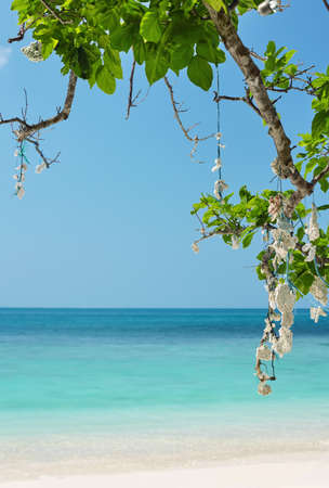 beautiful tropical sea. Beach backgroundの写真素材