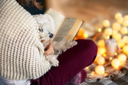 Young woman at home reading book with dog on her knees. Winter holiday conceptの写真素材