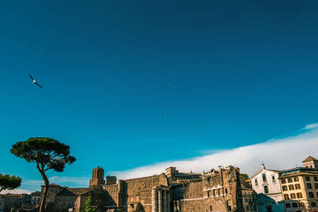 View of Rome on via dei fori imperiali, Italyの写真素材