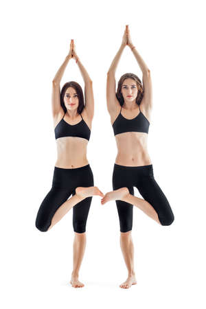 Two young women doing yoga asana tree pose ( Vrikshasana ) isolated on white backgroundの写真素材