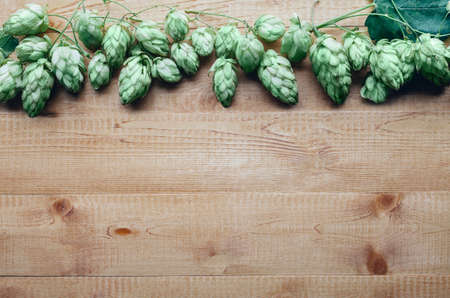 Flowers frame of hop twig on wooden background with copy spaceの写真素材