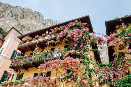 Beautifull flowers decorating old houses in Limone sul Garda, Italy.の写真素材