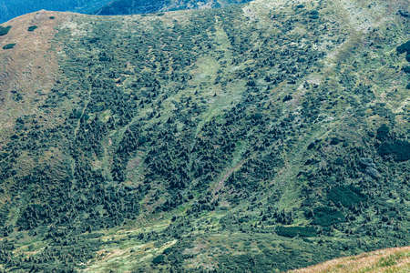 Beautiful green mountain landscape. Nature backgroundの写真素材