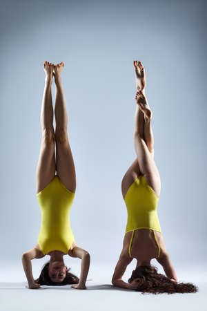 Two young women doing yoga asana supported headstand. Salamba Sirsasanaの写真素材