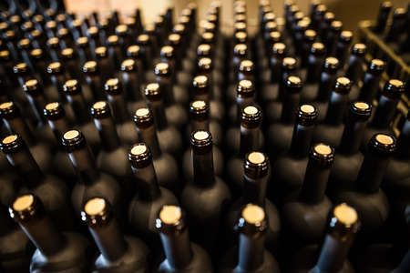 Rows of packed and corked bottles of wine on factoryの写真素材