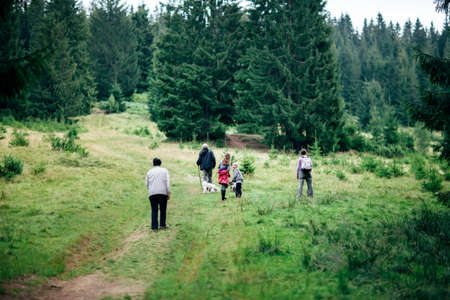 Rear view of family with dog goes to forest, outdoor. Active vacation. Travel backgroundの写真素材