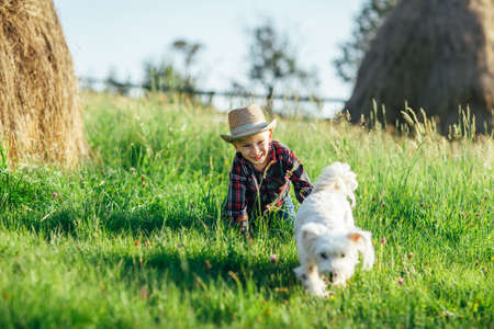 White dog runs away from baby on green field, closeup. Animal and the kid are out in fresh air in picturesque countryside. Strong, faithful, reliable friendship of a Caucasian kid and a furry dogの写真素材
