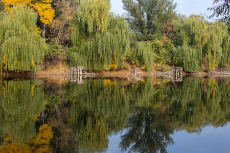 Beautiful lake, reflection of tree in a lake. Picturesque pond with beautiful green nature, trees and grassの写真素材