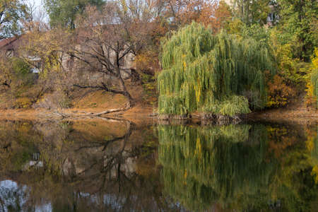 Beautiful lake, reflection of tree in a lake. Picturesque pond with beautiful green nature, trees and grassの写真素材