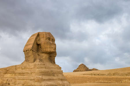 Great Sphinx profile wih pyramids on background in Giza, Cairo, Egypt. Travel background. Architectural monument. の写真素材