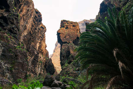 Scenic mountains landscape of Masca Gorge, Tenerife, Canary Islands. Nature backgroundの写真素材