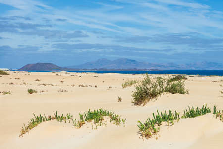 Sandy desert background landscape. Corralejo dunes with volcanic mountains in the horizon. Fuerteventura, Canary islands, Spain.の写真素材