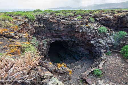 Unique Lanzarote landscape with cave and lava field covered by plants. Nature background. Canary...