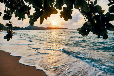 Amazing sunset at the beach