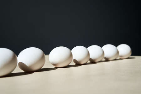 White eggs in line with copy space, minimalism conceptの写真素材