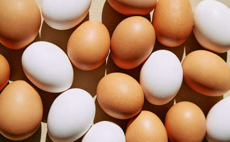 Chicken eggs white and brown background