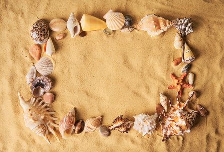 Seashells and starfish frame on sandy beach background with copy space. Summer holidays travel concept. Flat lay, top viewの写真素材