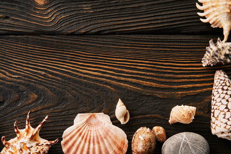 Seashells on the dark wooden background with copy space. Flat lay, top view. summer holidays travel conceptの写真素材