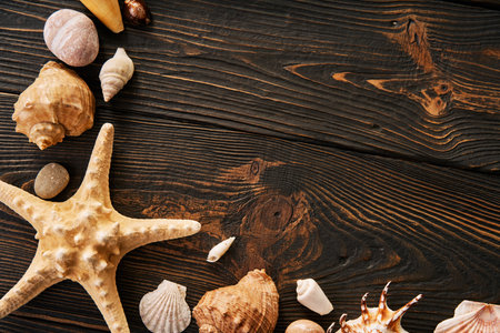 Beautiful seashells and starfish on the dark wooden background with copy space. Flat lay, top view. summer holidays travel conceptの写真素材
