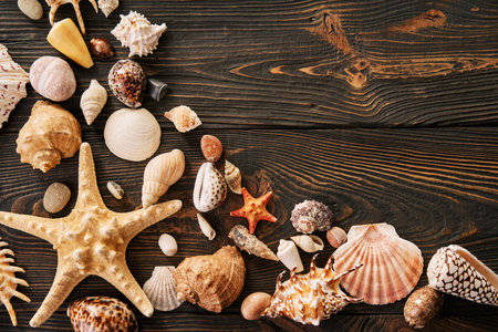 Seashells and starfish on the dark wooden background with copy space. Flat lay, top view. summer holidays travel conceptの写真素材