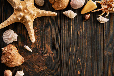 Seashells and starfish on the dark wooden background with copy space. Flat lay, top view. summer holidays travel conceptの写真素材