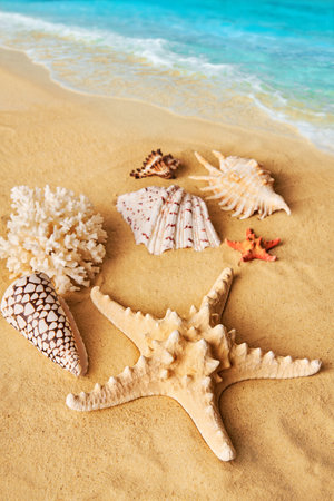 Beautiful summer beach background with different seashells and starfish on sandy seashore and turquoise waterの写真素材