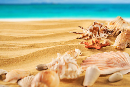 Beautiful summer beach background with different seashells and starfish on sandy seashore and turquoise waterの写真素材