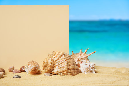 Invitation or greeting card mockup with seashells and starfish on the summer sandy beach at ocean backgroundの写真素材