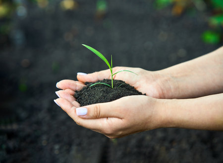 Woman hands holding fertile soil with young green plant. Ecology, new life, green world and earth day conceptの写真素材