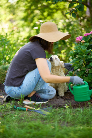 Young female in hat and gloves gardening with her dogの写真素材
