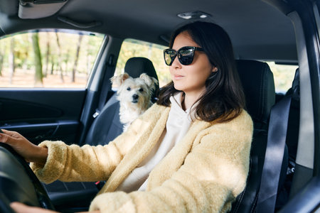 Young woman driving a car with her white dog in the passenger seat enjoying the road trip together. Vacation, holidays, travel conceptの写真素材