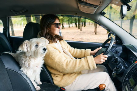 Young woman driving a car with her white dog in the passenger seat enjoying the road trip together. Vacation, holidays, travel conceptの写真素材