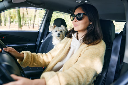Young woman driving a car with her white dog in the passenger seat enjoying the road trip together. Vacation, holidays, travel conceptの写真素材