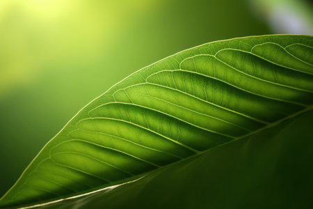 Detailed tropical green leaf showing intricate vein patterns. Generative AIの素材