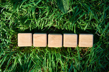 Top view of five blank wooden cubes lined up on fresh green grass in sunlight