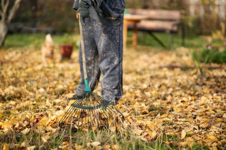 Woman raking dry yellow leaves with small dog in background.